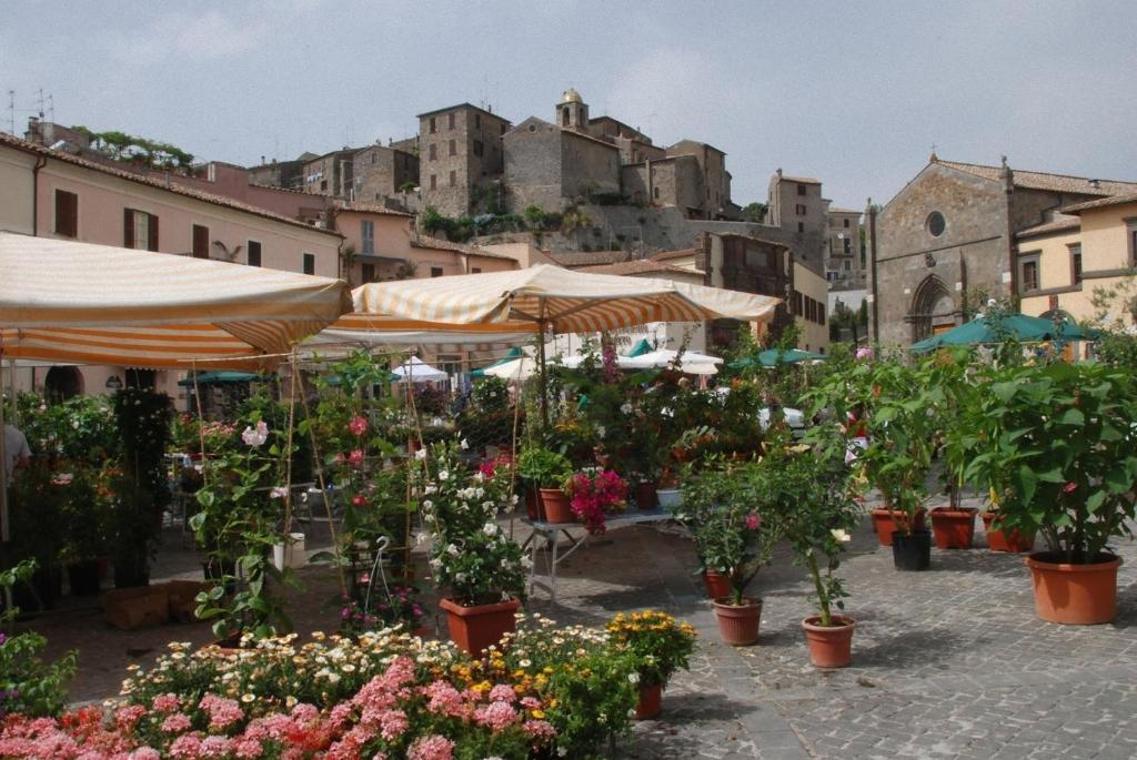 Hotel La Torricella Capalbio Bagian luar foto